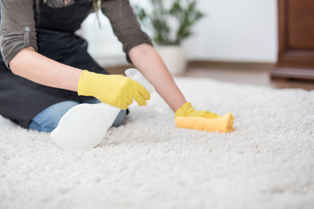 Cómo limpiar alfombras en casa con productos caseros